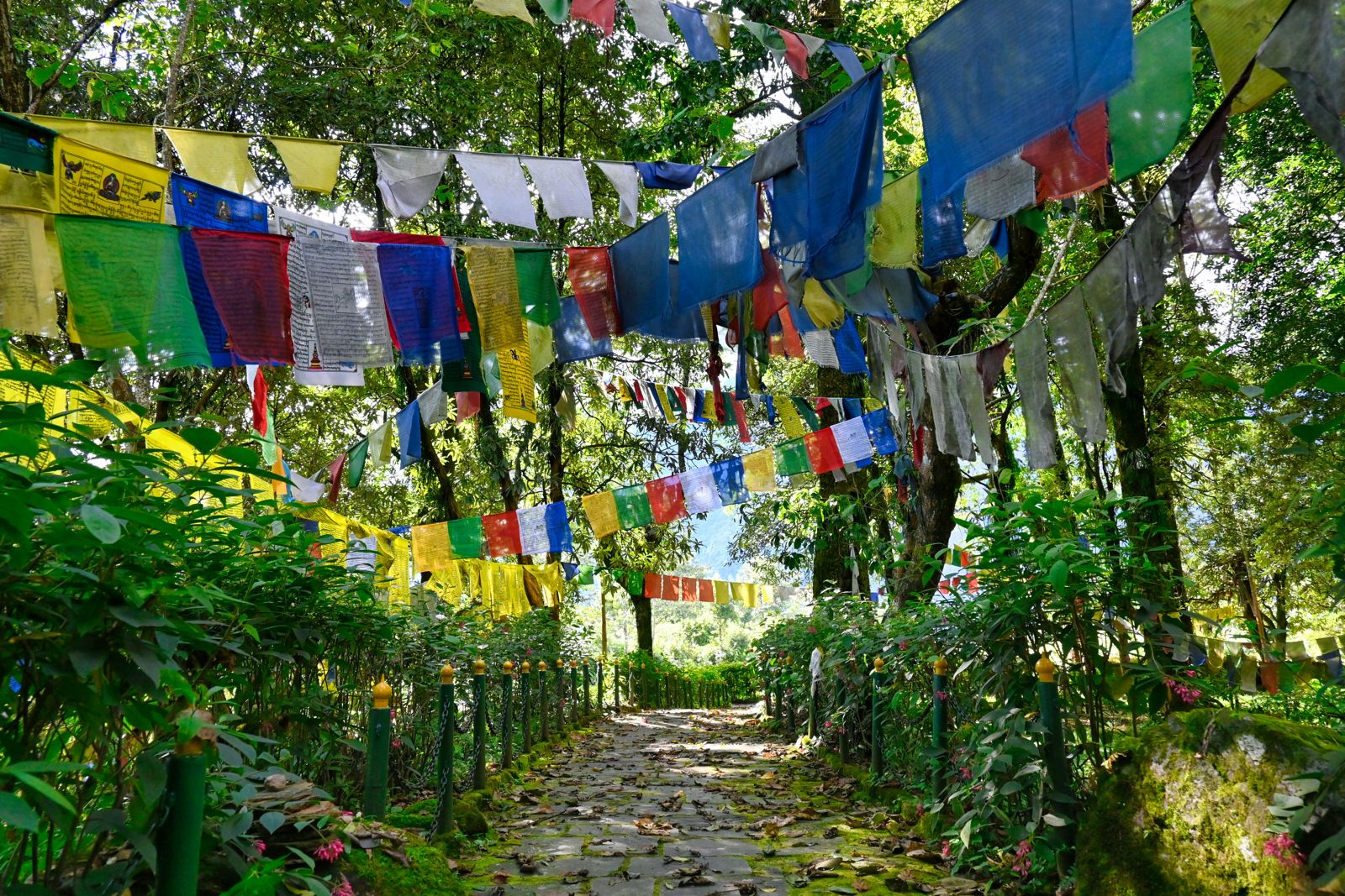 The Rich Culture and Cuisine of Sikkim: A Journey Through the Heart of the Himalayas